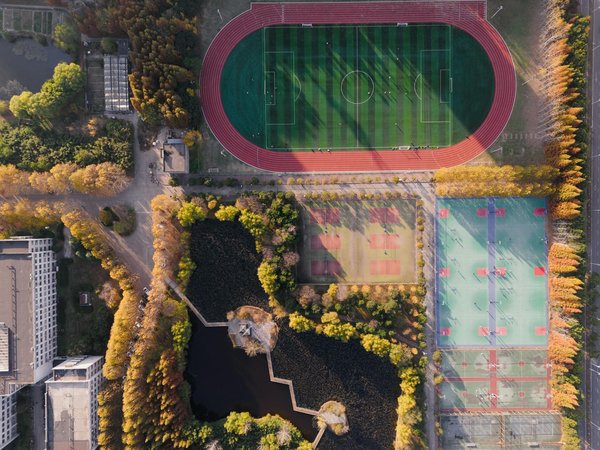 Comparatif : Ultimate frisbee vs Football américain