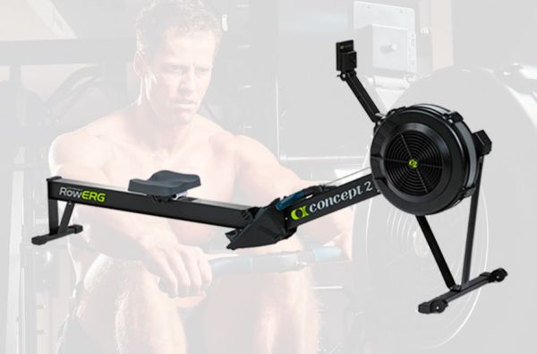 Se muscler sur un rameur : quels muscles travaillent ?